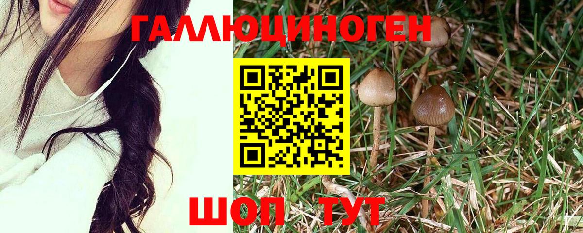 Галлюциногенные грибы мицелий  Вход с VPN  Ишимбай 